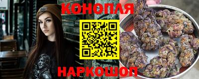 Альфа ПВП Бийск